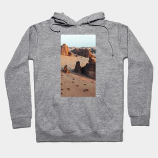 Canyon Landscape Hoodie